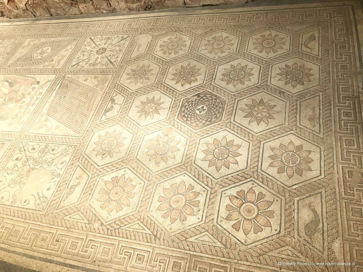 mozaika w Puli