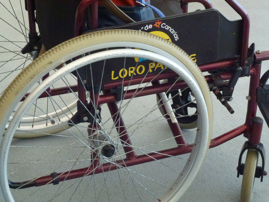 wózek inwalidzki Loro Park