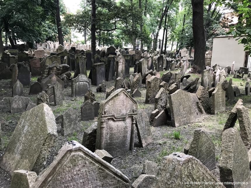 cmentarz żydowski w Pradze