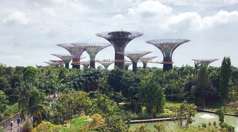Podróż do Singapuru i Gardens by the Bay