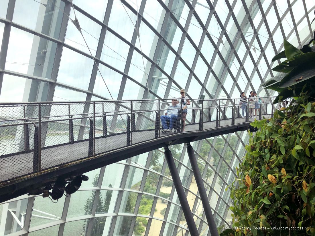 dostosowanie Cloud Forest w Singapurze
