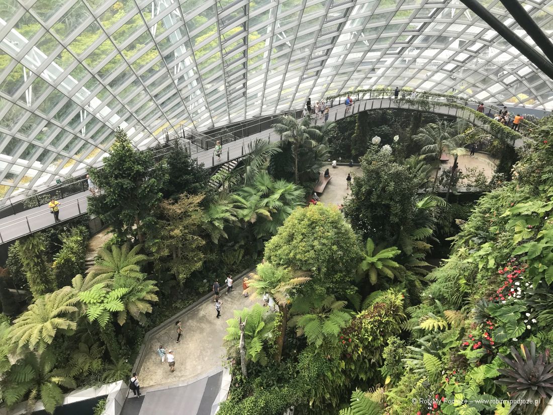 panorama Cloud Forest