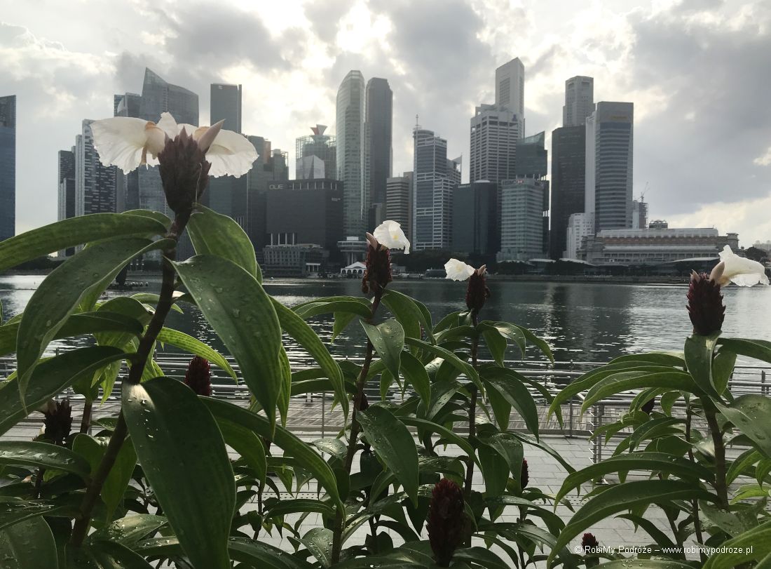 panorama Singapuru