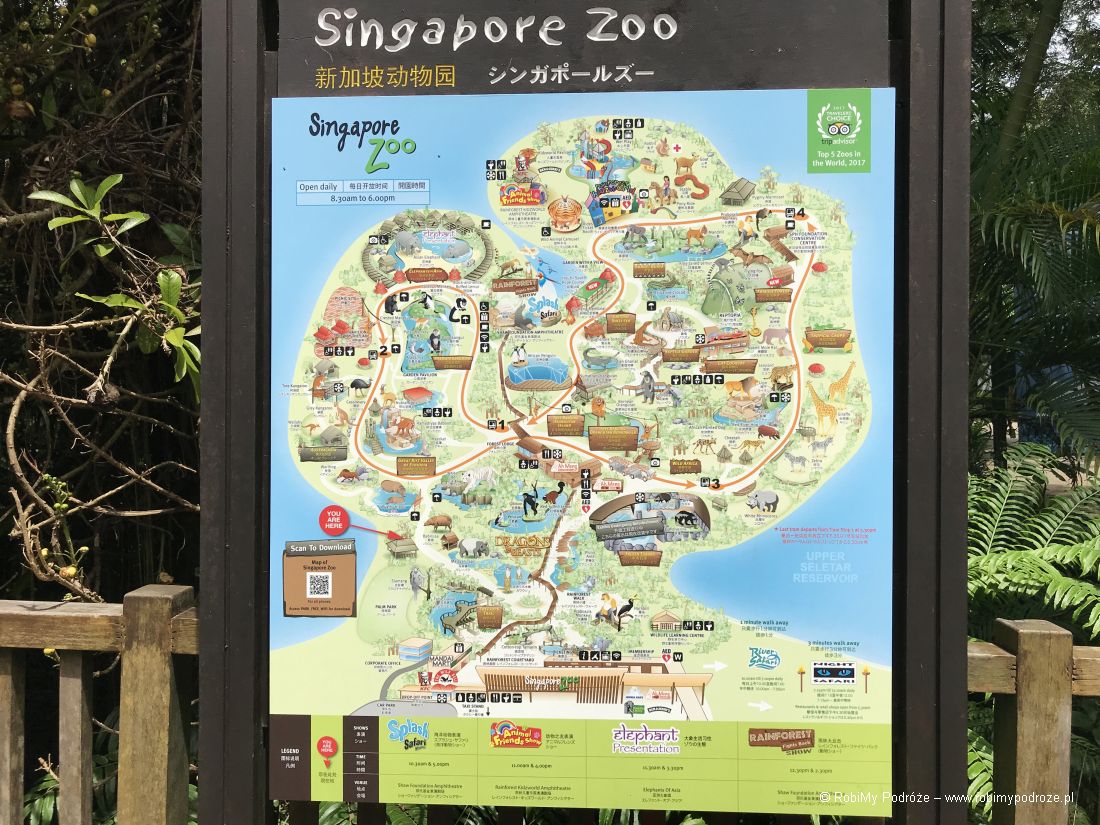 mapa zoo w Singapurze