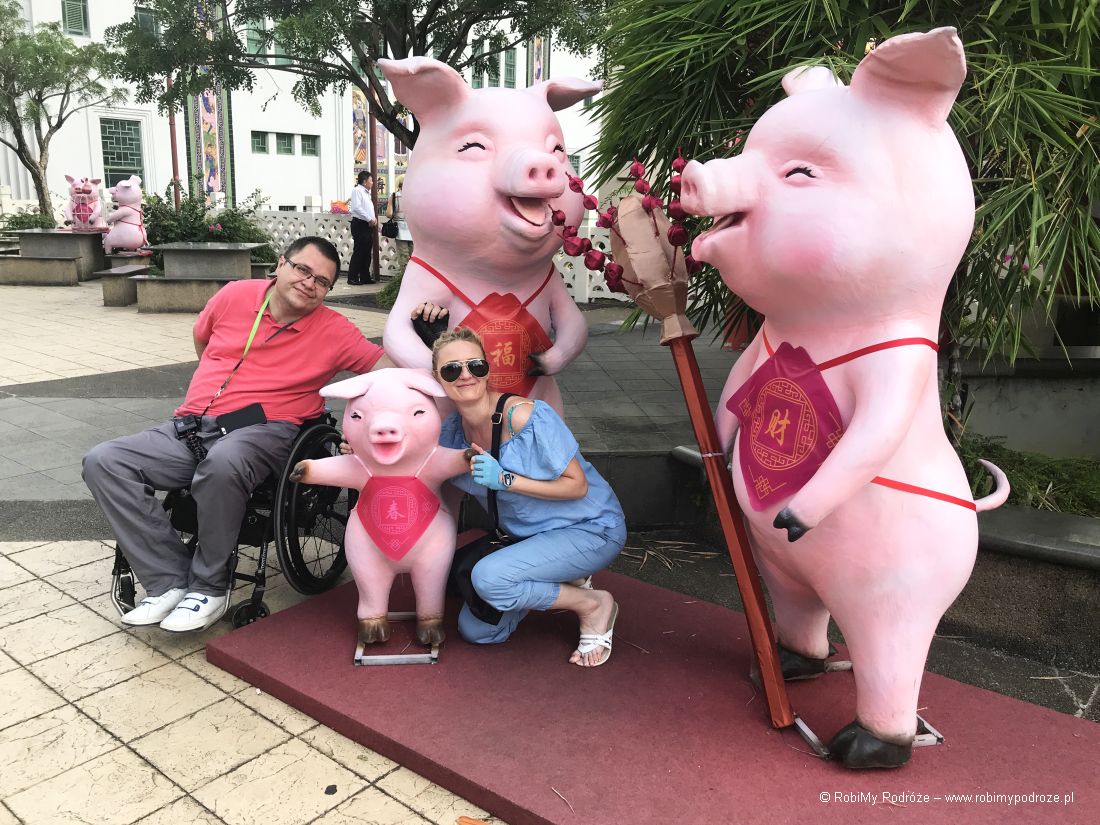 swinie w Chinatown