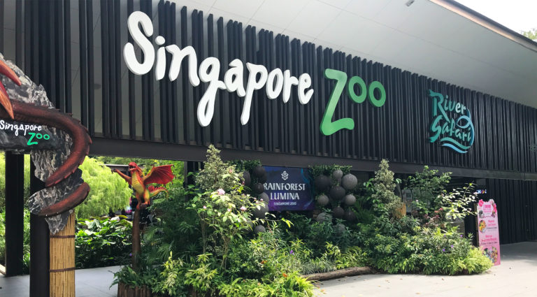 zoo w Singapurze