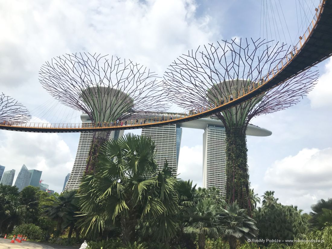 Gardens by the Bay - najlepsze atrakcje Singapur