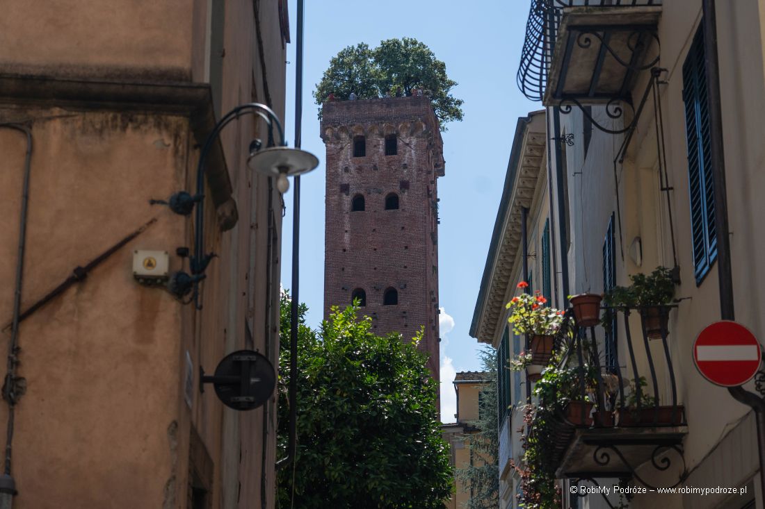 Torre Guinigi trzeba zobaczyć w Lukce