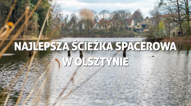 Najlepsza ścieżka spacerowa w Olsztynie – Jezioro Długie i Las Miejski