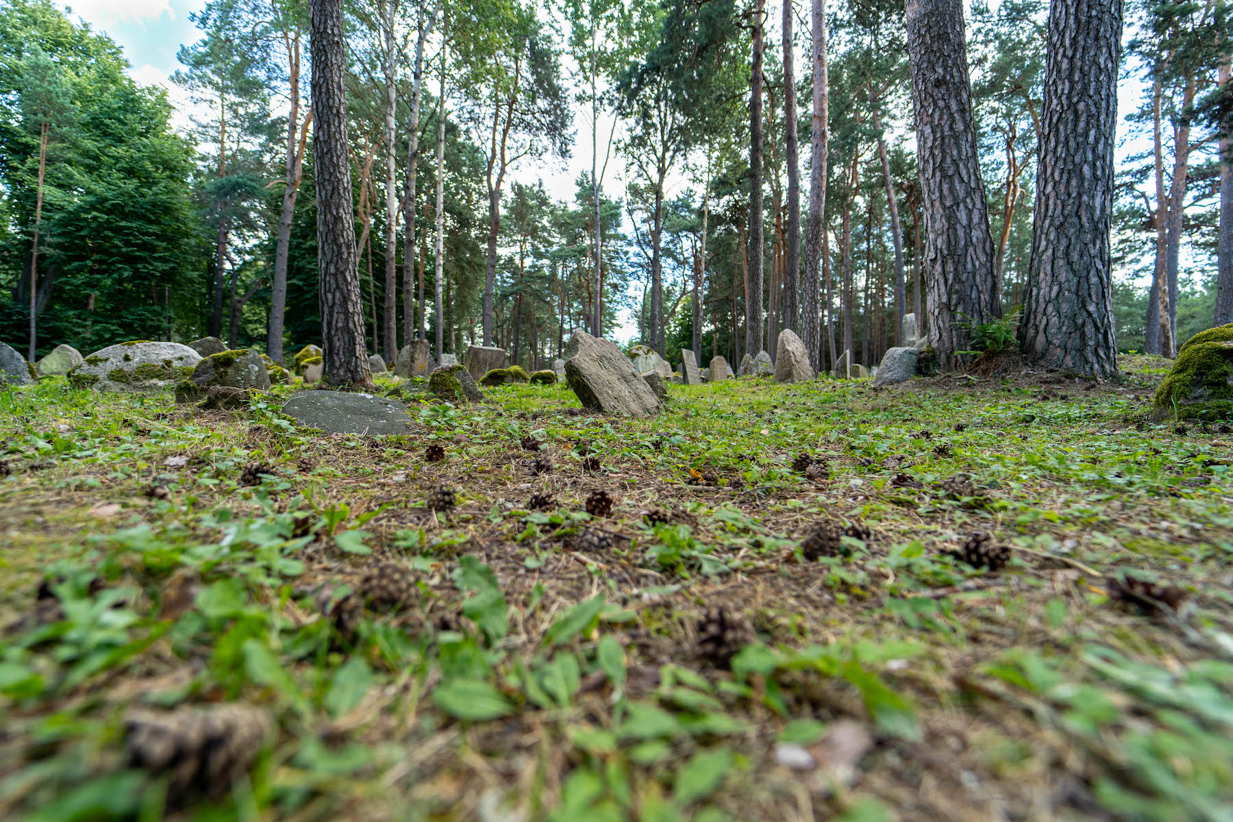 cmentarz - Kruszyniany - wieś Tatarów na Podlasiu