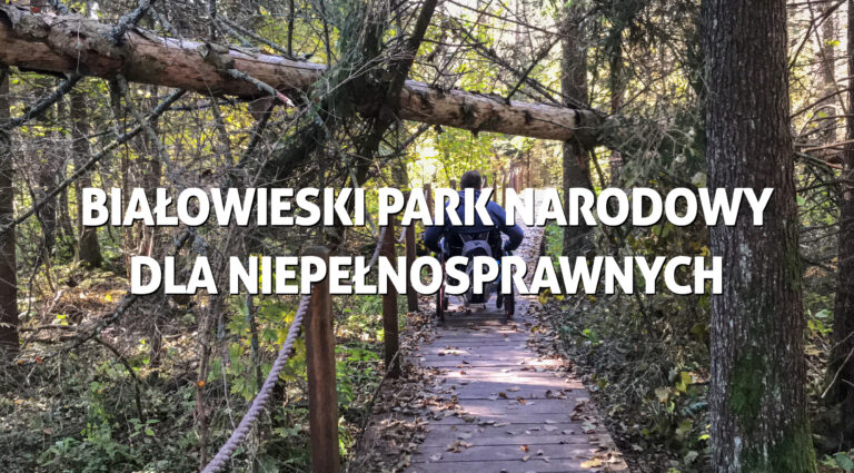 Białowieski Park Narodowy dla niepełnosprawnych