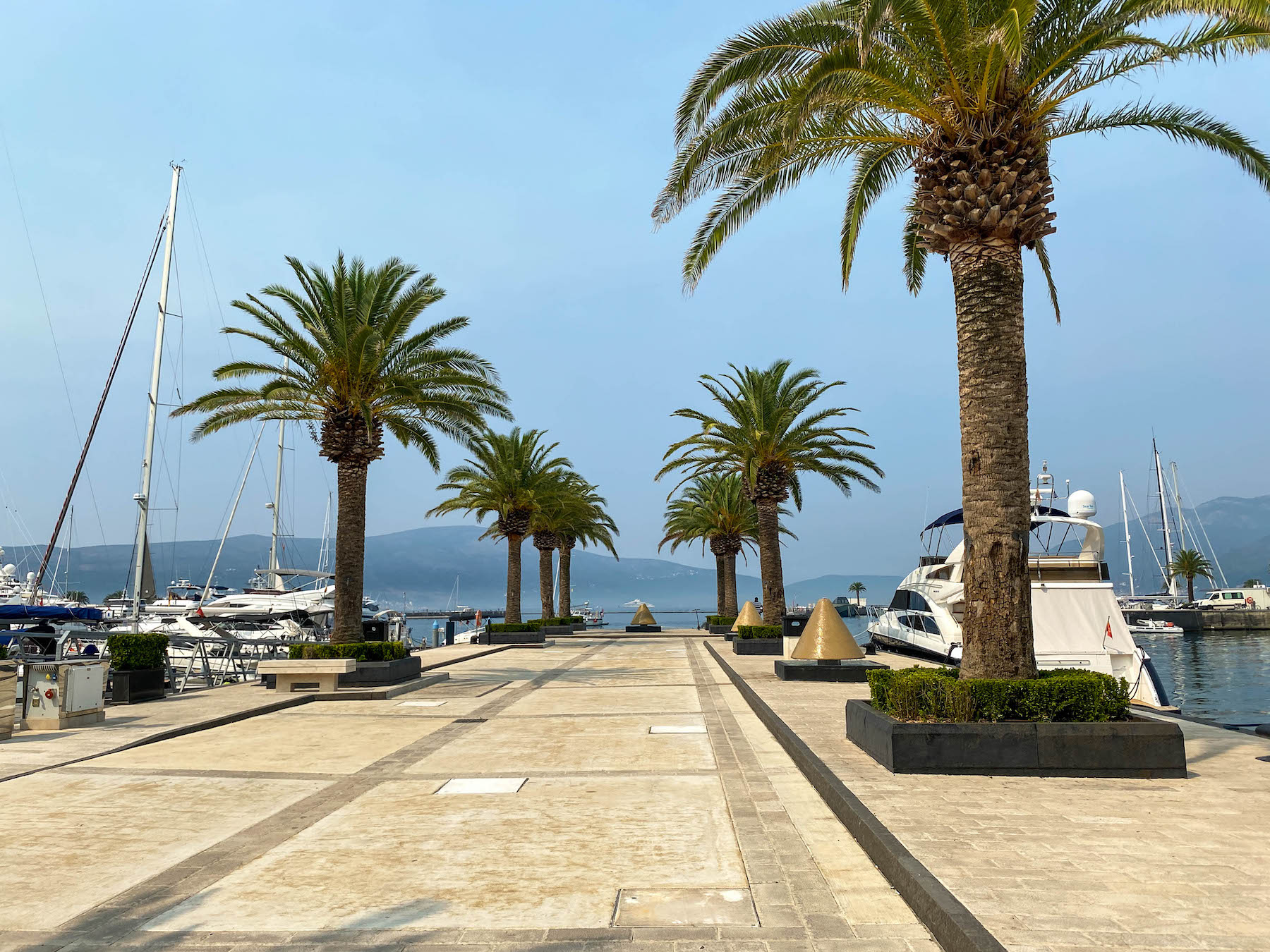Marina w Porto Montenegro