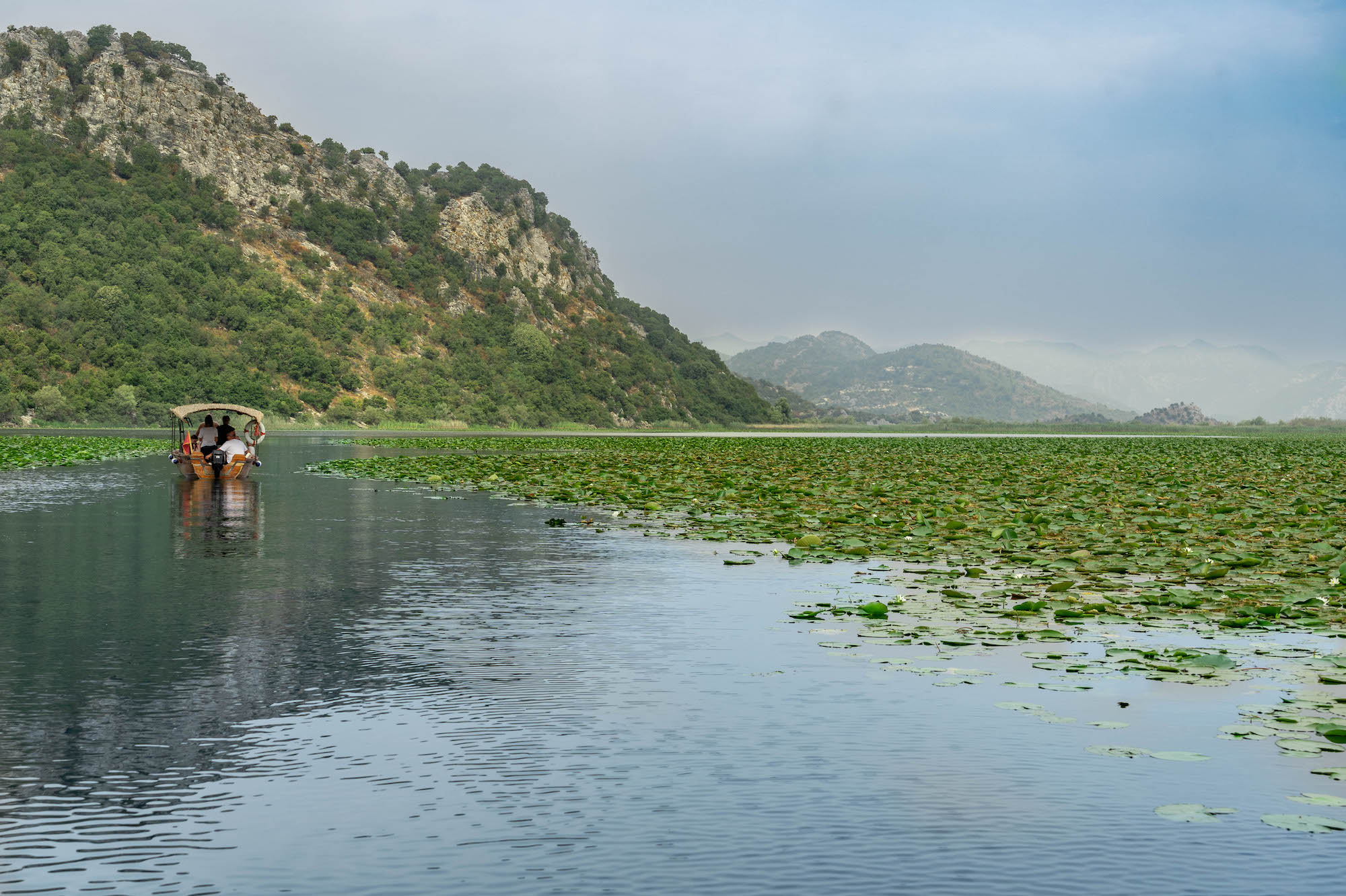 Jezioro Szkoderskie w Czarnogórze