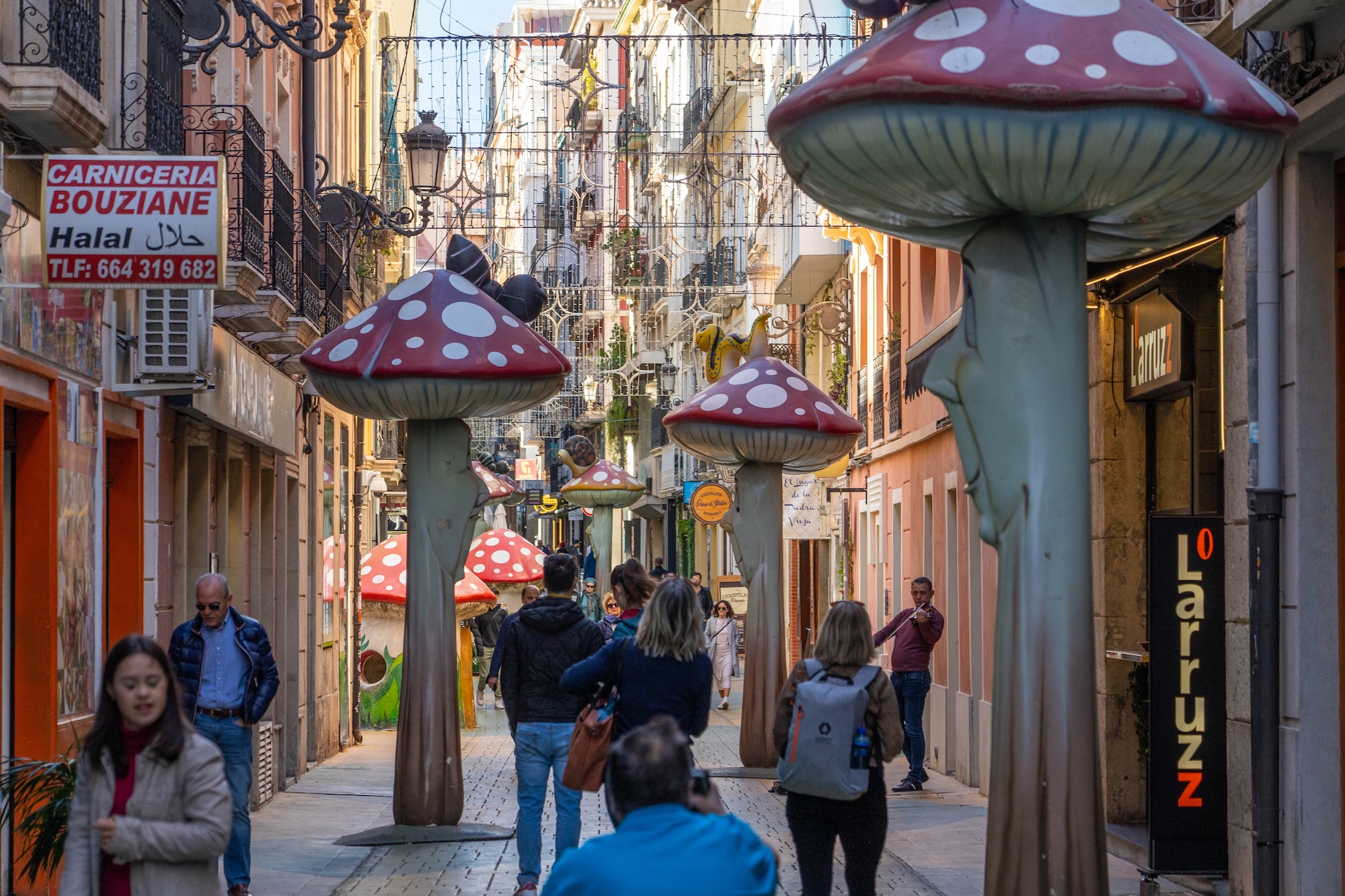 Ulica Grzybów w Alicante - co warto zobaczyć